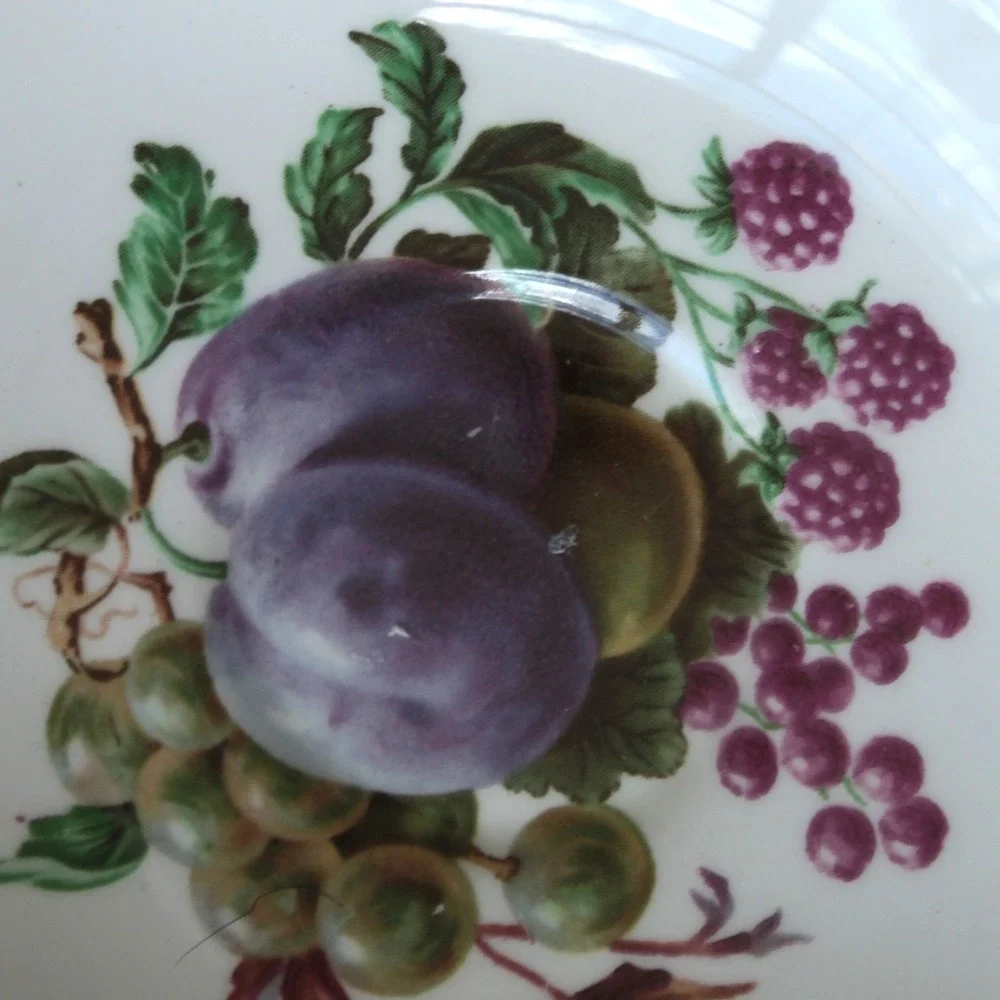Regency Bone China Fruit Pattern Saucer Made in England Gold Trim Scalloped 5.5